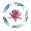 Lotus White Ocean Harmony T-shirt