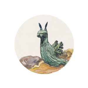 Green Nudibranch Green Nudibranch