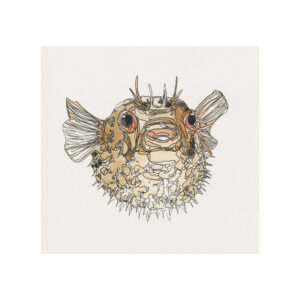 Pufferfish Pufferfish