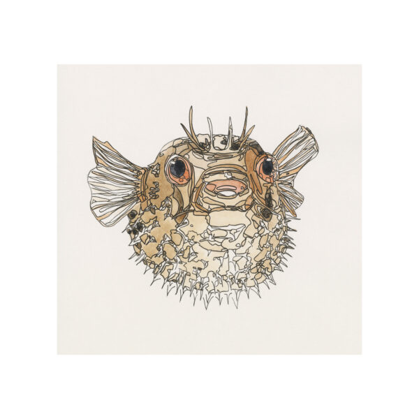 Pufferfish Pufferfish