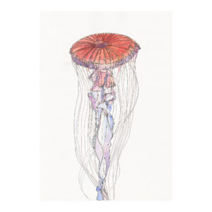 Red Jellyfish Red Jellyfish