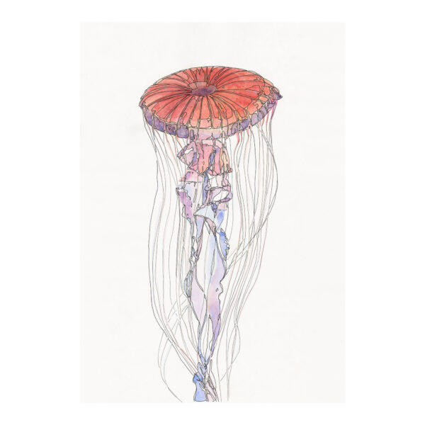Red Jellyfish Red Jellyfish