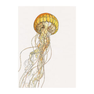 Yellow Jellyfish