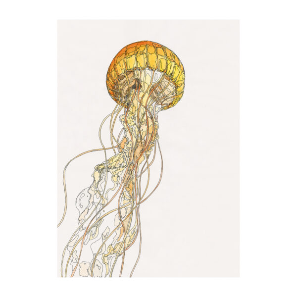 Yellow Jellyfish Yellow Jellyfish