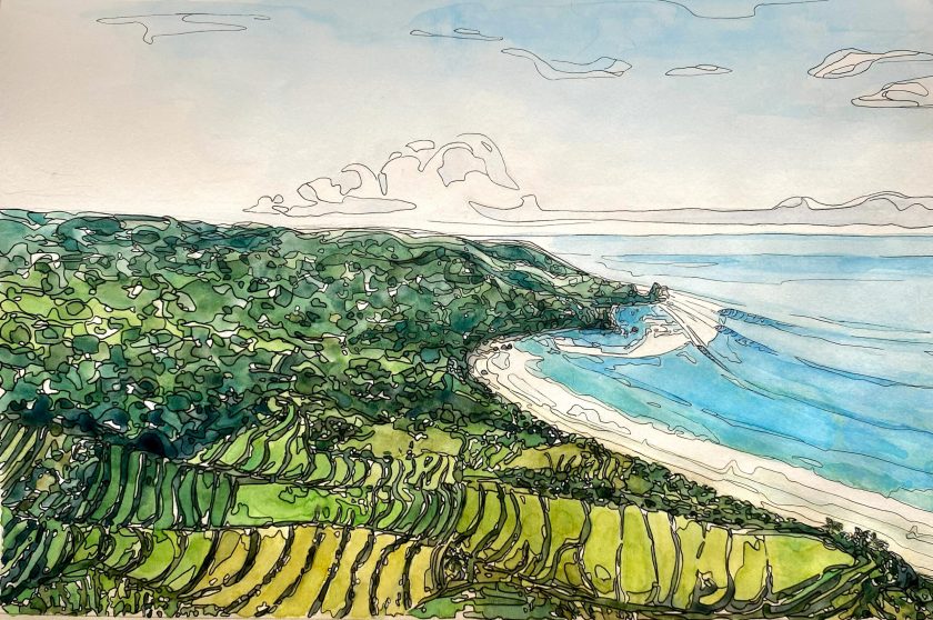 Sumba Rice Fields